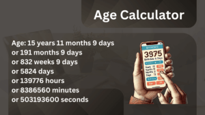 Online Age Calculator – Find Your Age Instantly